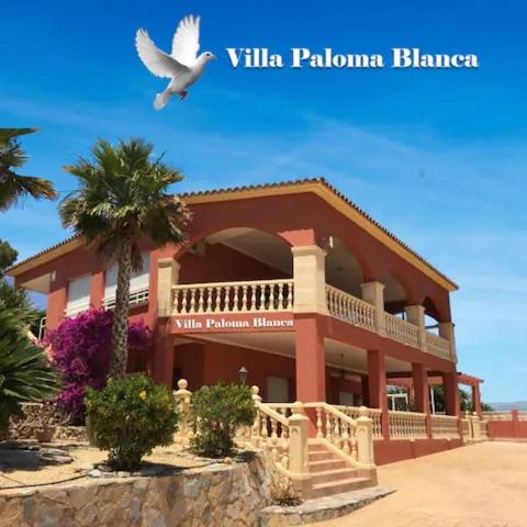  Villa Paloma Blanca, Pension in Albir