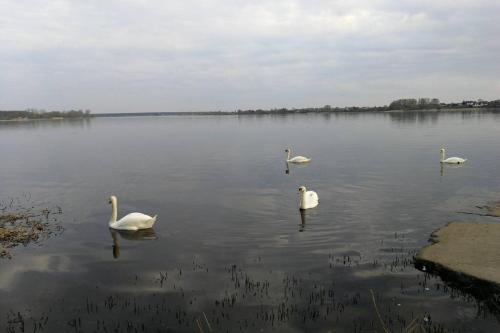 Latgales 266 6 can stay Self check in out River 200m, Riga (foto 11)