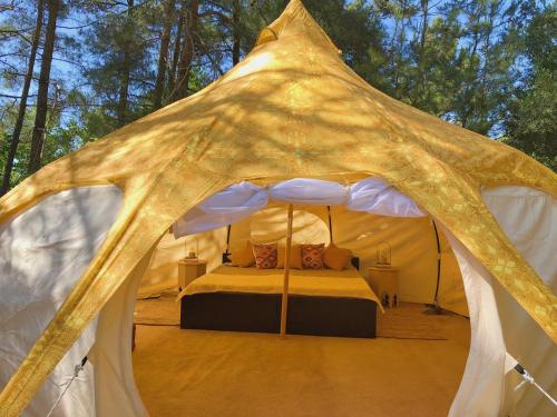 VinSan Glamping & Wellness Centre gîte à louer Eleoúsa