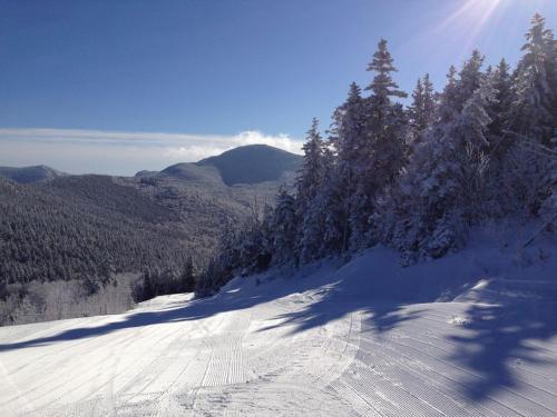 C1 Top Rated Ski-In Ski-Out Townhome Great views fireplaces fast wifi AC! Short walk to slopes - image 14
