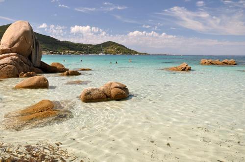 Bel Appartement T2 en Résidence avec piscine - Cala Rossa - Les Jardins d’Alzetu