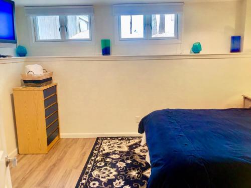 R5 Completely renovated Bretton Woods condo AC unbeatable SKI-IN SKI-OUT location! Fast wifi! - image 7