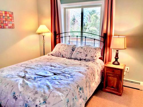 S6 Convenient location for your skiing getaway! Modern open floor plan fireplace AC! - main image