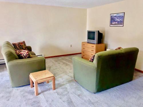 W4 Comfortable and spacious Bretton Woods condo with ski slope views, fireplace and fast wifi!