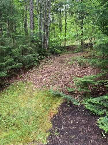 R7 Ski-in Ski-out Bretton Woods Townhome on 2-mile home trail Mt Washington views - main image