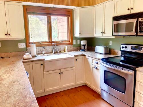 W8 Mount Washington Place Townhome great slope views fireplace large deck yard and ping pong detail