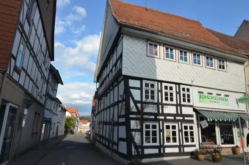 Buntspecht in Witzenhausen, Deutschland
