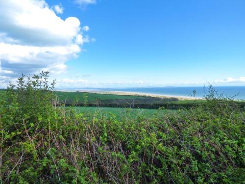 Llygaid Yr Haul - image 7