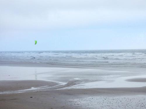 Llygaid Yr Haul - image 6