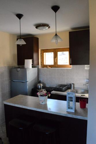 Konyha, Apartmani Sokolski odmor in Rača