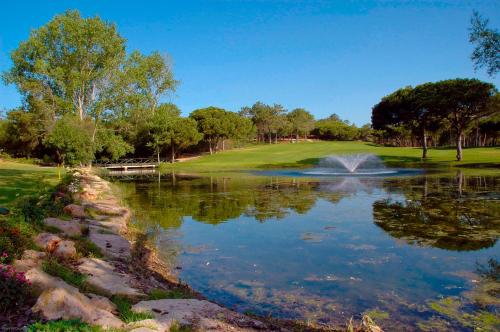 Luna Olympus - image 9