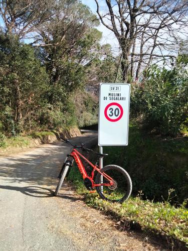 Podere Agnese App. 1 - Castagneto Carducci