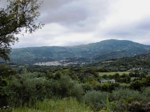 View, AGRITURISMO VIGNA DE' LUCERI in Loceri