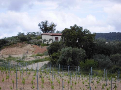Exterior view, AGRITURISMO VIGNA DE' LUCERI in Loceri