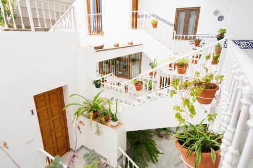 Apartamentos Pepe Mesa - main image