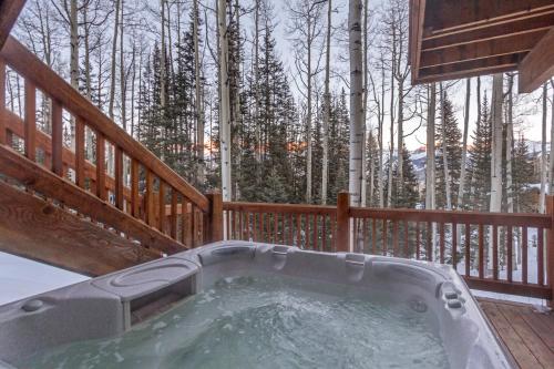 Palmyra Drive - 103 in Telluride, USA