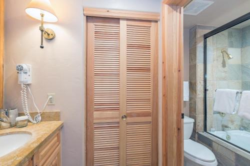 Mountain Village Slope-side Condos - image 7