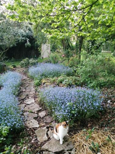 Chambre Le Notre Le Domaine Des Jardins De Bracquetuit in Grigneuseville