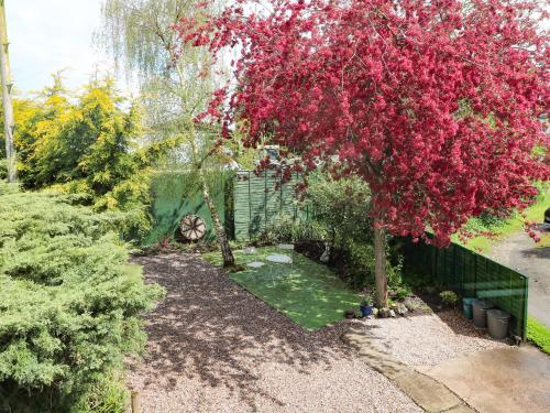 The Mill Wheel - image 11