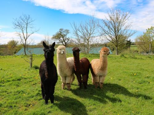 The Mill Wheel in Somersal Herbert