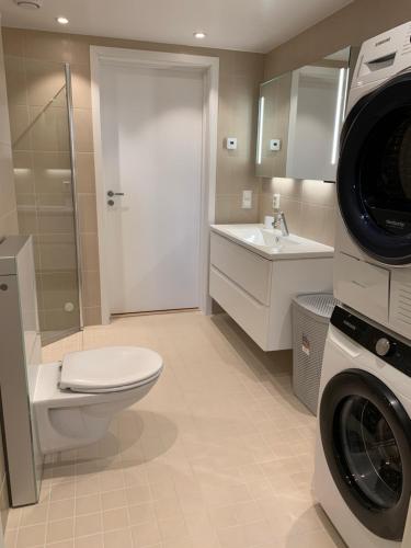 Lofoten Suiteapartments - image 3