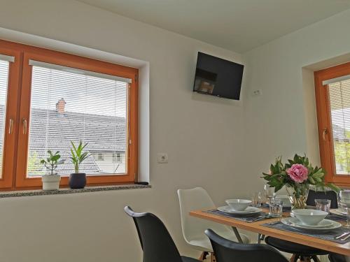 Apartment Vida