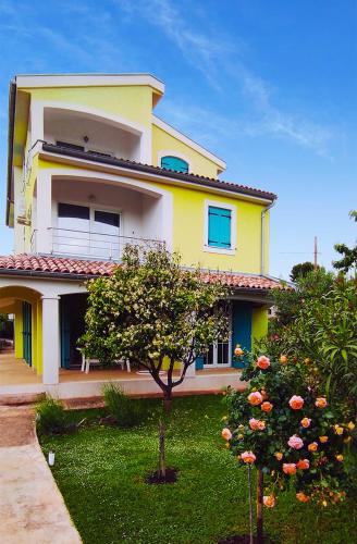 Apartman Mendula photo