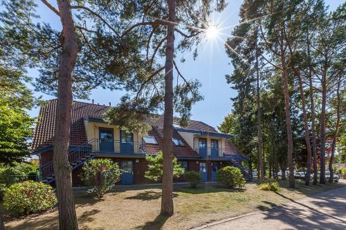 Papillon Wohnung 18-3 - image 4