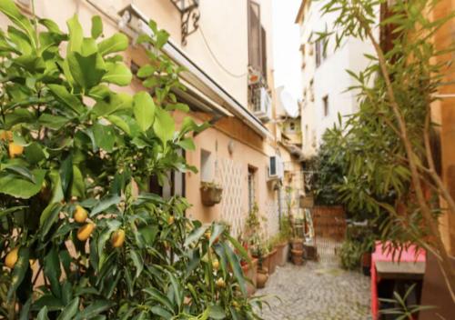 Independent with garden heart of trastevere John Cabot 5