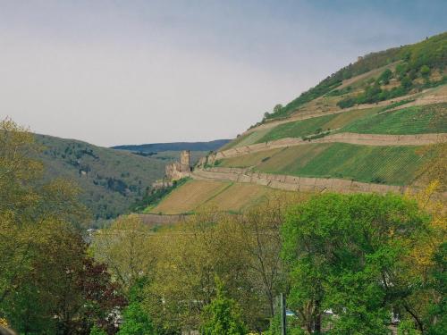 View, Rheinufer am Hindenburgpark in Bingen am Rhein