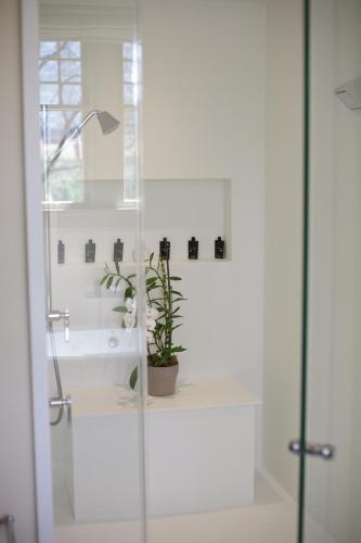 Deluxe King Suite image 5