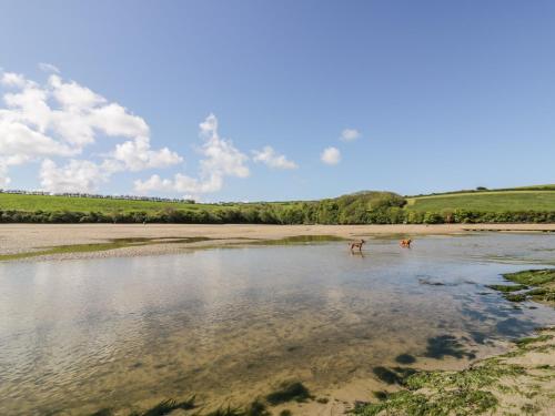 Chi Gwynn, Crantock, Cornwall