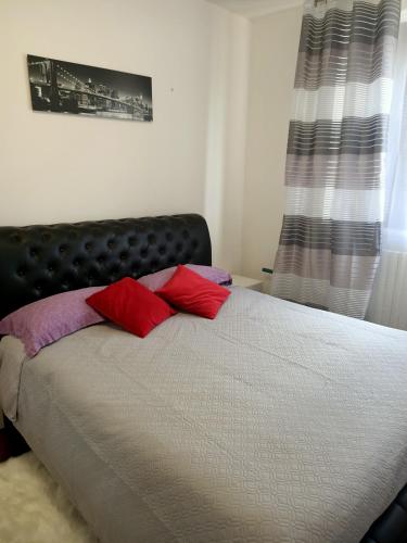 Luna in Castelnuovo del Garda