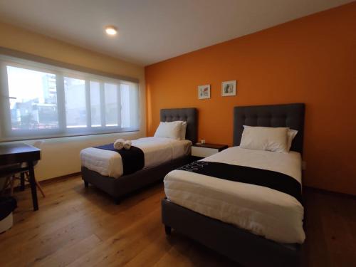 Singular Sócrates Singular Sócrates