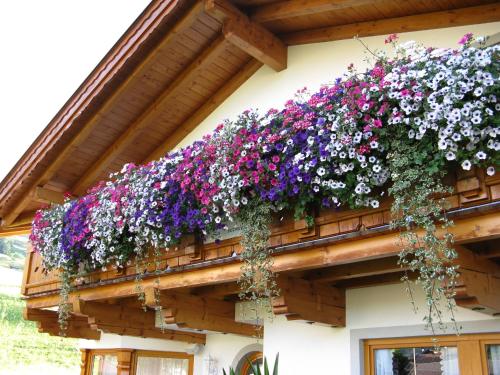 Appartements Schneezauber - image 5