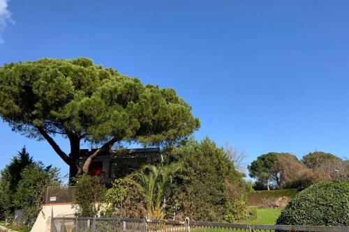 Villa Aurora - Il paradiso a Copanello Lido