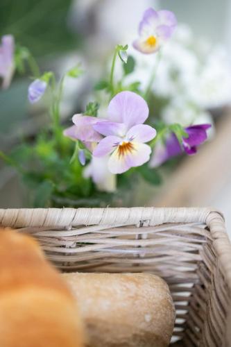Studio Living... - image 6