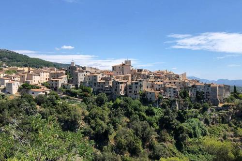 Appartement au calme dans un espace arboré - Location saisonnière - Tourrettes-sur-Loup