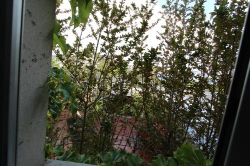  Paraiso Rooms Coliving in Madrid