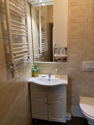 Vacanza Apartment Novi Sad - image 8