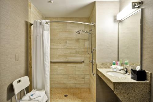 Holiday Inn Express Romulus / Detroit Airport an IHG Hotel - main image