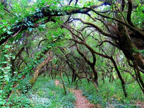 Casa rural La Villa in Miranda Del Castanar