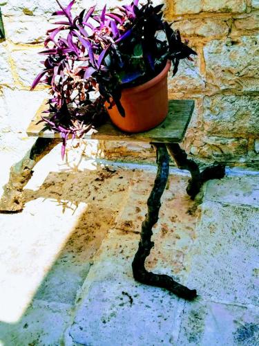 Centro Storico Suites Giovinazzo – Giovinazzo, LA