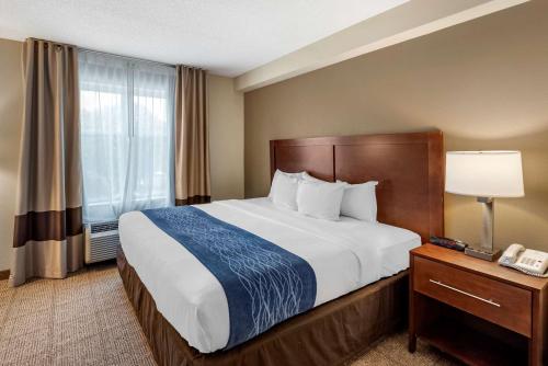 Comfort Inn & Suites Virginia Beach-Norfolk Airport - image 10