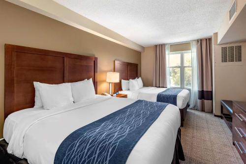 Comfort Inn & Suites Virginia Beach-Norfolk Airport - image 13