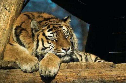 Hotel Szeleta - image 12