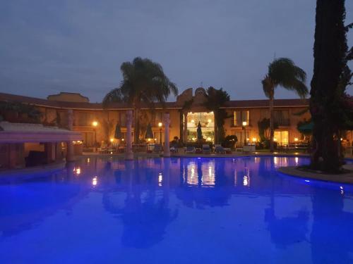 Suite, junior, terraza