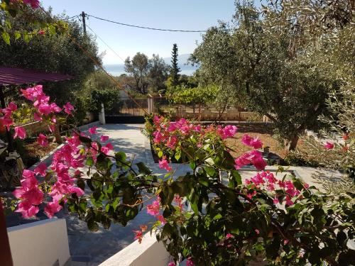 Panorama - Apartment - Eretria