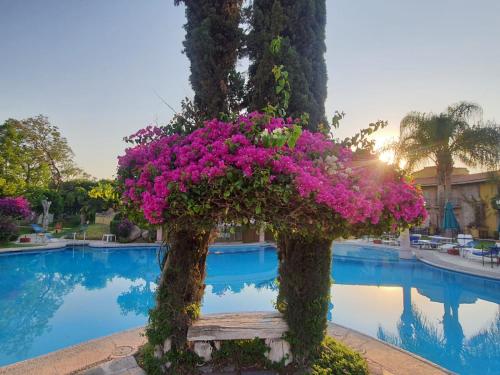 Gran Hotel Hacienda De La Noria in Aguascalientes, Mexico