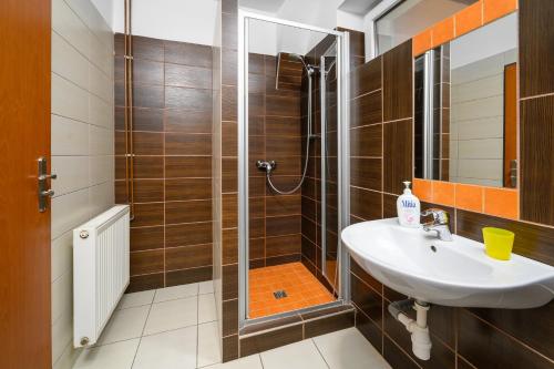 Inter Hostel Liberec - image 11